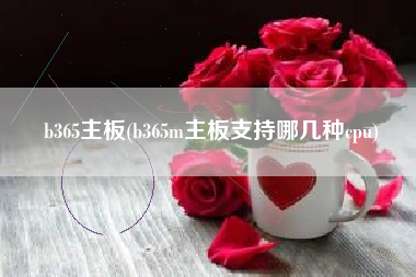 b365主板，b365m主板支撑哪几种cpu？