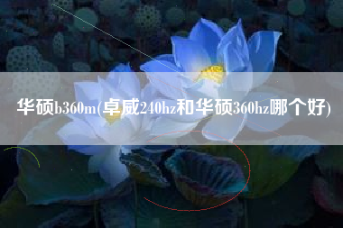 华硕b360m，卓威240hz和华硕360hz哪一个好？