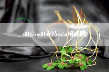 y81，vivoy81支撑exfat格局吗？