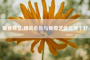 爱爱奇艺，腾讯会员与爱奇艺会员哪一个好？