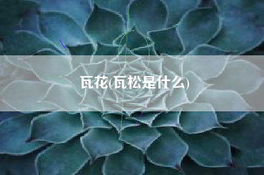 瓦花，瓦松是什么？