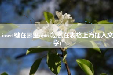 insert键在哪里，word怎样在表格上方拔出笔墨？