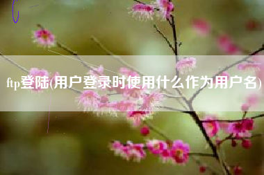ftp登岸，用户登录时应用甚么做为用户名？