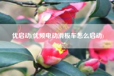 优启动，优频电动滑板车怎样启动？