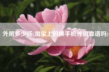外屏多少钱，淘宝上的换手机外屏靠谱吗？