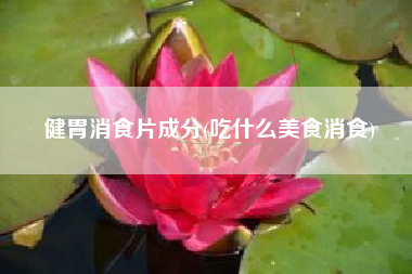 健胃消食片身分，吃什么美食消食？