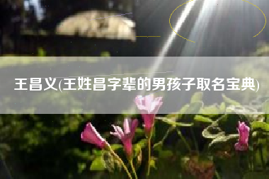 王昌义，王姓昌字辈的男孩子取名宝典？