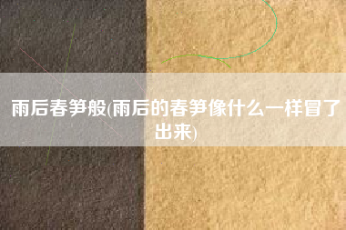 雨后春笋般，雨后的春笋像甚么雷同冒了出来？