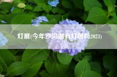 灯展，本年沙沟湖有灯展吗2023？