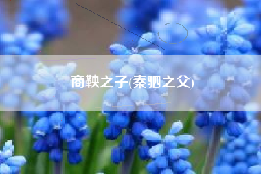 商鞅之子，秦驷之父？