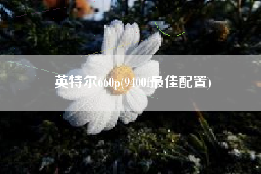 英特尔660p，9400f最好配套？