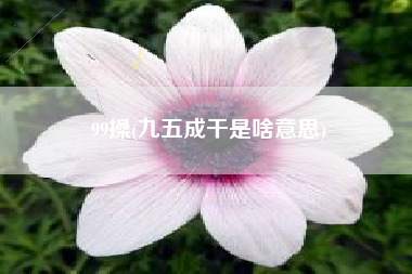 99操，九五成干是啥意义？