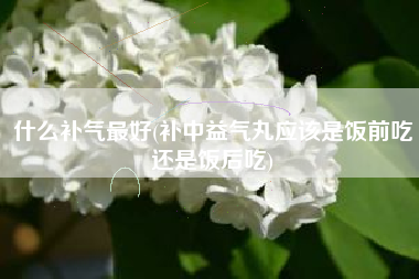 甚么补气最好，补中益气丸应该也是饭前吃