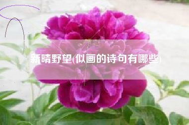 新晴野望，似画的诗句有哪些？