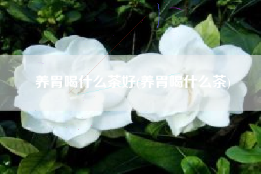 养胃喝甚么茶好，养胃喝甚么茶？