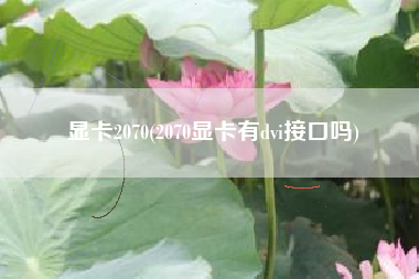 显卡2070，2070显卡有dvi接口吗？
