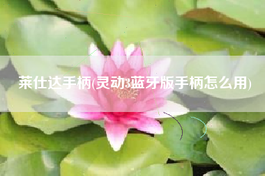 莱仕达手柄，灵动3蓝牙版手柄怎样用？