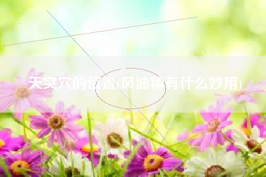 天突穴的位置，风油精有什么妙用？